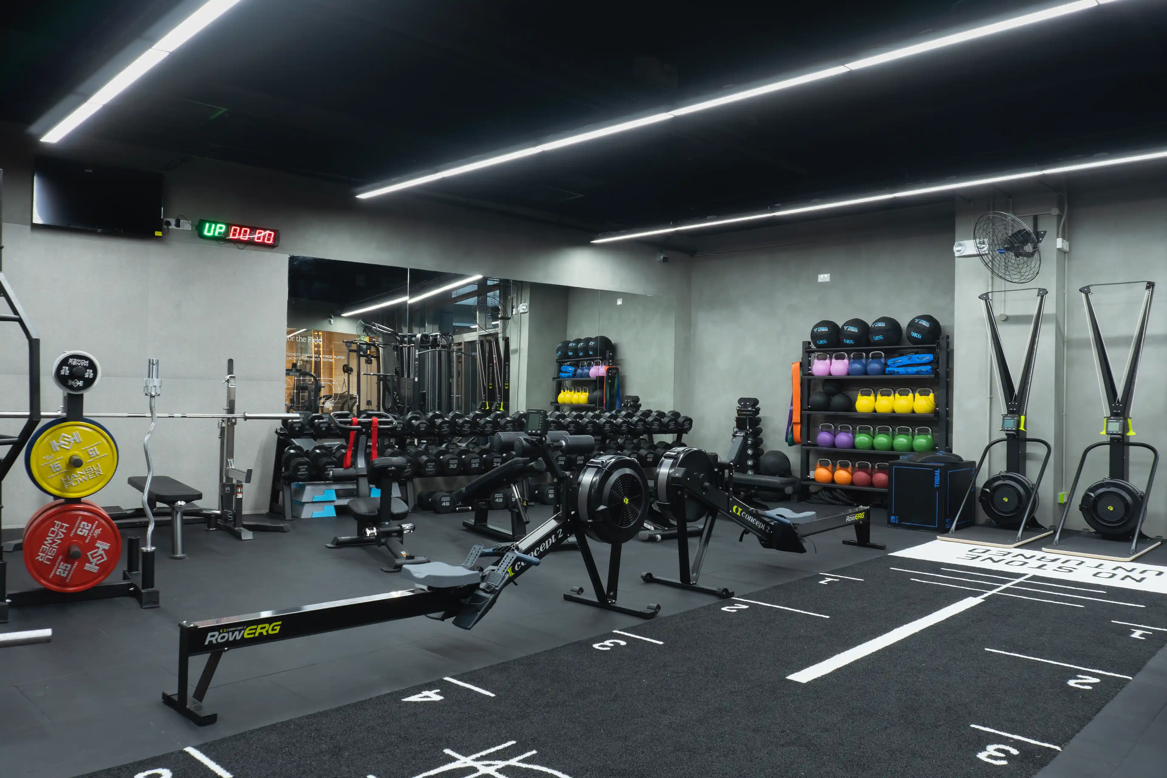 Functional Area